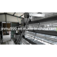 a Type Automatic Chicken Cage System for Layer Poultry Farm
